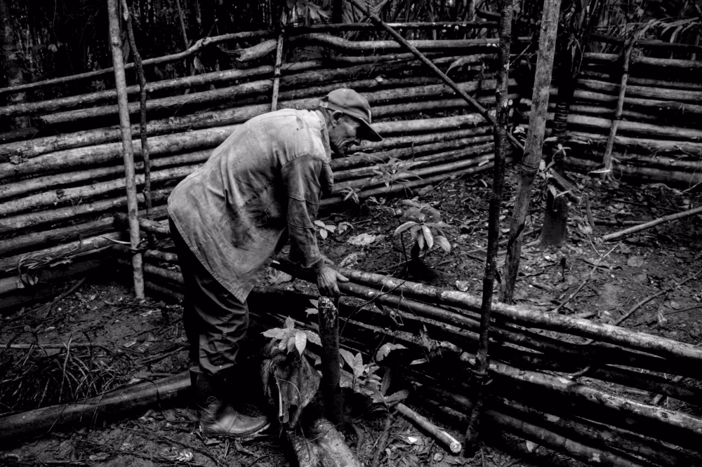 Ubicación de foto: <span>Guantánamo</span>