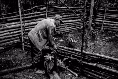 S/T – El lugar más lindo del Mundo