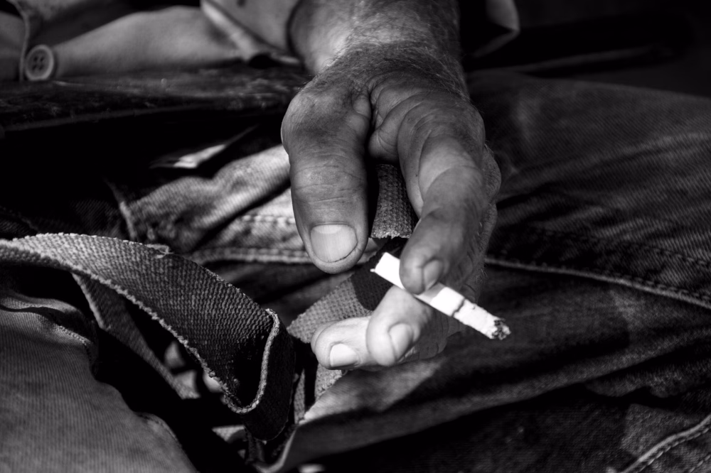 Ubicación de foto: <span>Sierra del Rosario</span>