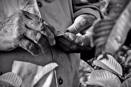 S/T – Manos de Montaña