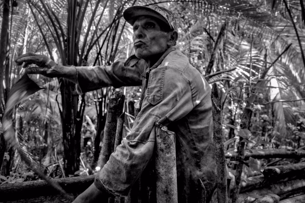 Año de foto: <span>2024</span>