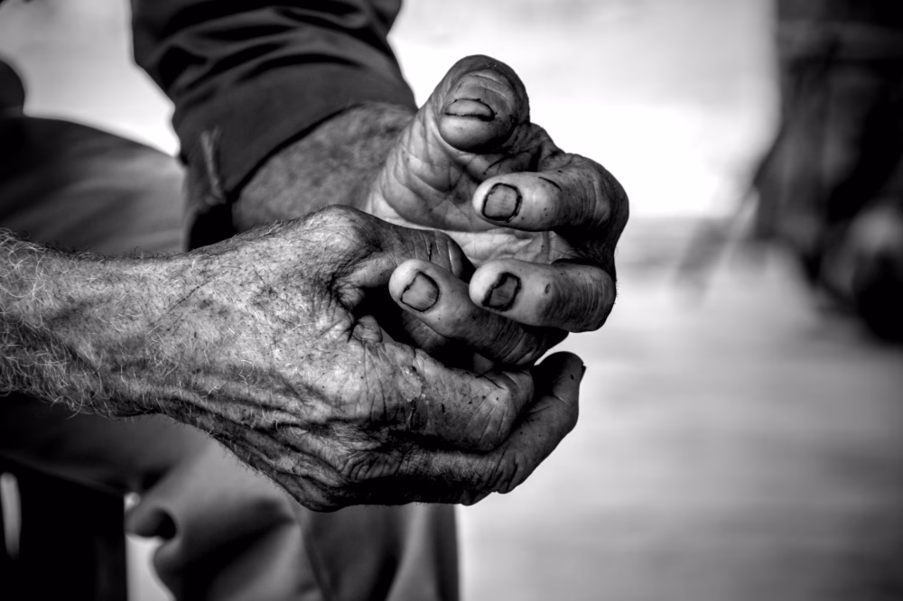 Año de foto: <span>2023</span>