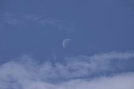 Un día cualquiera, en un campo cualquiera