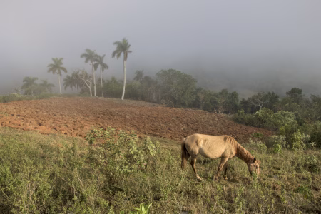 Un día cualquiera, en un campo cualquiera