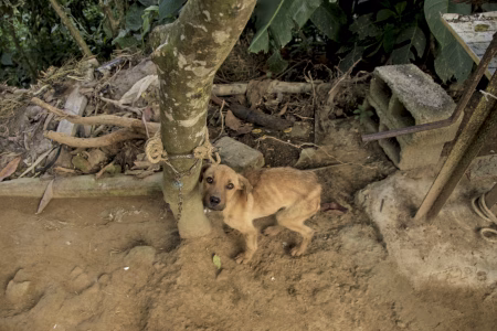 Un día cualquiera, en un campo cualquiera