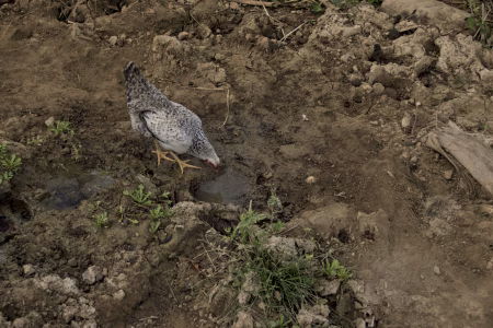 Un día cualquiera, en un campo cualquiera