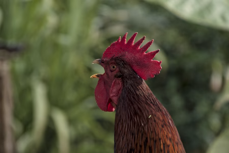 Un día cualquiera, en un campo cualquiera