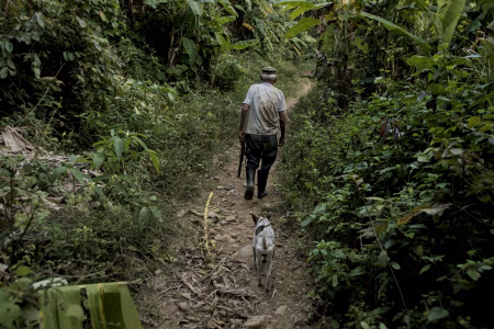 Un día cualquiera, en un campo cualquiera