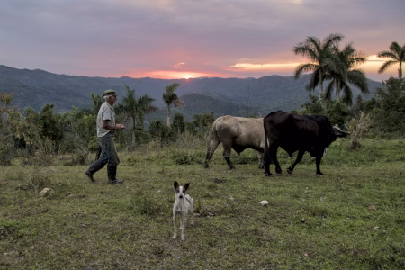 Un día cualquiera, en un campo cualquiera