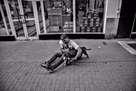 S/T – Las arterias abiertas de La Habana