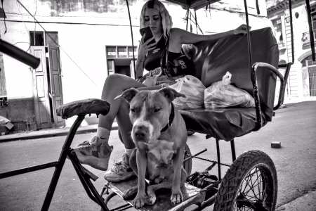 Las arterias abiertas de La Habana